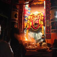 20101119_Photo_1224_IMG_8109 - Copy_CMP_WM